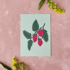 Pikku paperi Vadelma postikortti