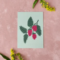 Pikku paperi Vadelma postikortti